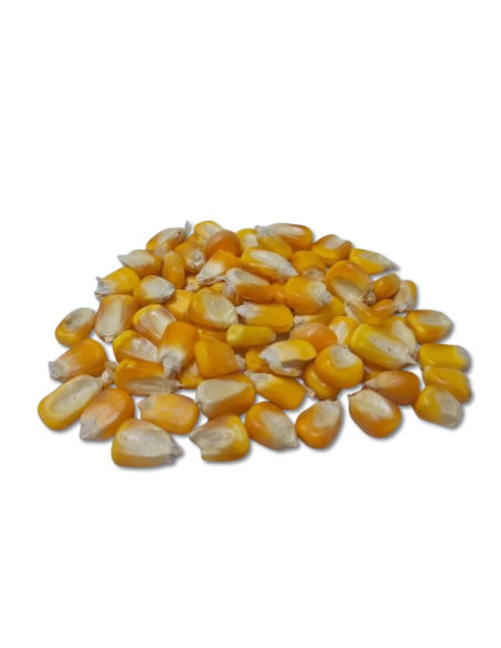 MAIZ AMARILLO x 50 kg.