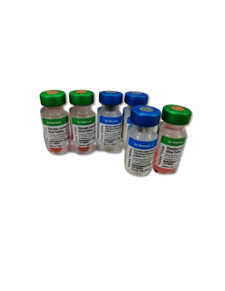 NOBIVAC FELINE 1-HCPCh+FeLV  x 1 DOSIS  $                                                                               