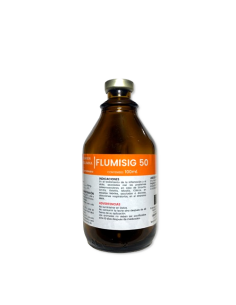 FLUMISIG 100 ML                                                                                                         